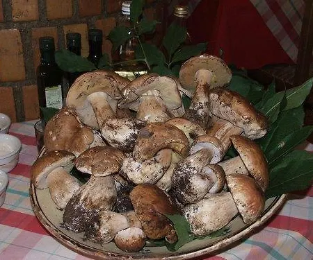 מלון Duca Di Calabria